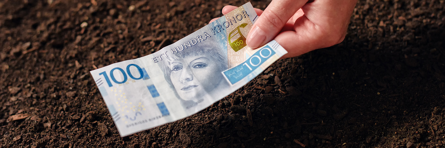 100 kr - vad gör ett prisvärt liggunderlag?