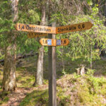 Topp 10 vandringsleder i Sverige för nybörjare: från syd till norr